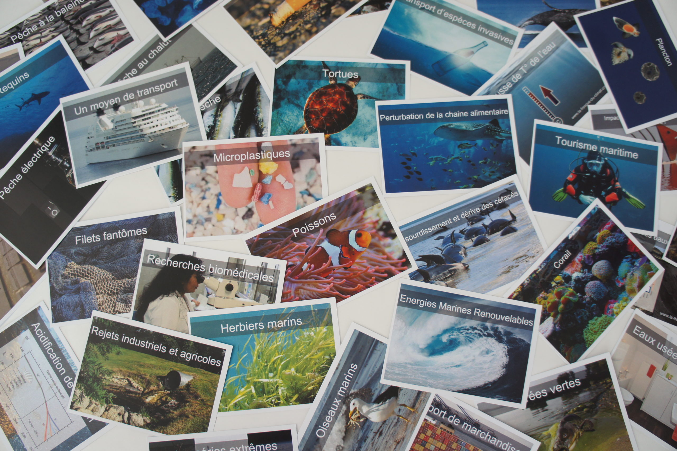 Atelier "La Fresque Océane"