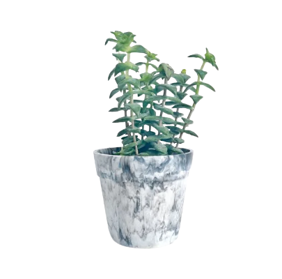 Cache-pot en plastique recyclé Made in France