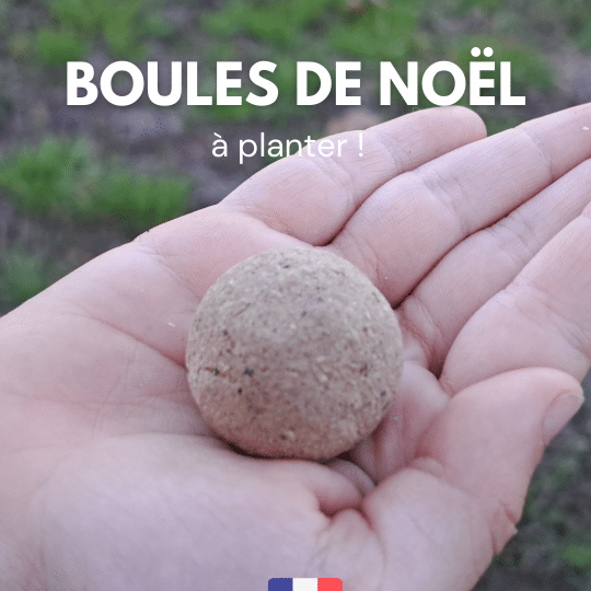 Boules de Noël bio à planter - Made in France -