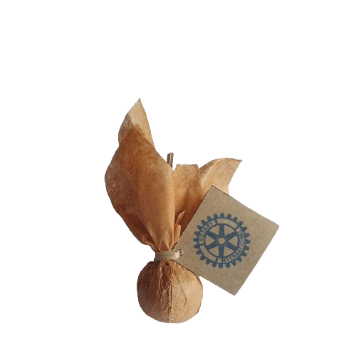 Boules de Noël bio à planter - Made in France