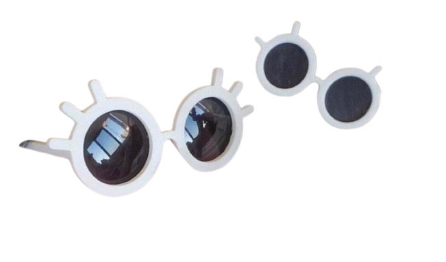 Lunettes de soleil Made in France