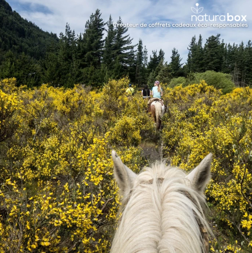 Coffret cadeau éco-responsable - Eco-Activités - 4