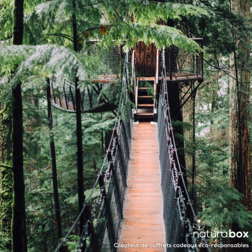 Coffret cadeau éco-responsable - Cabanes Perchées - 5