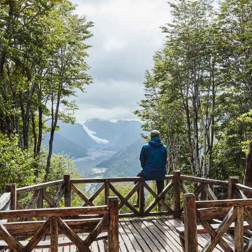 Coffret cadeau éco-responsable - Cabanes Perchées - 3
