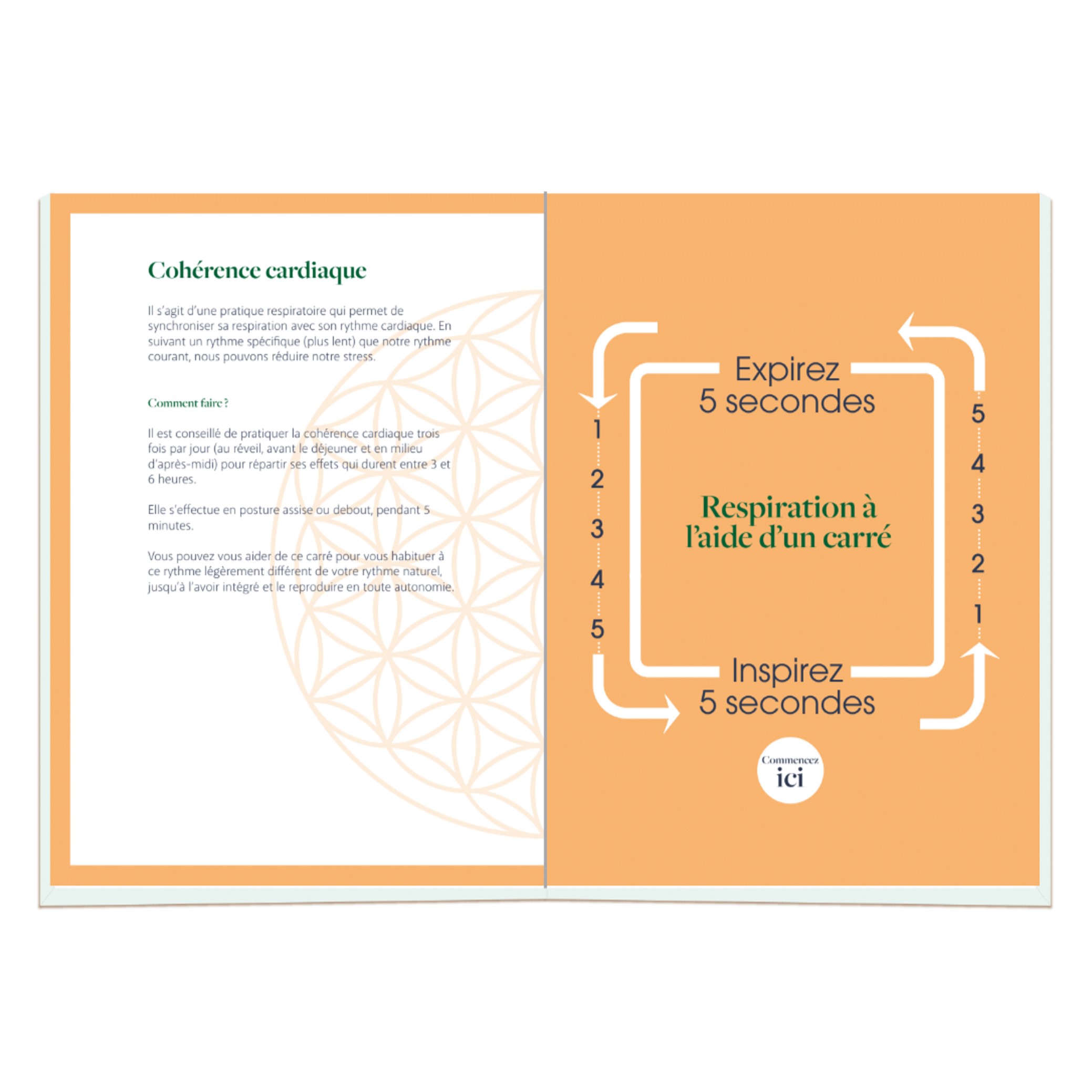 Carnet de développement personnel Made in France - Nirvana - 4