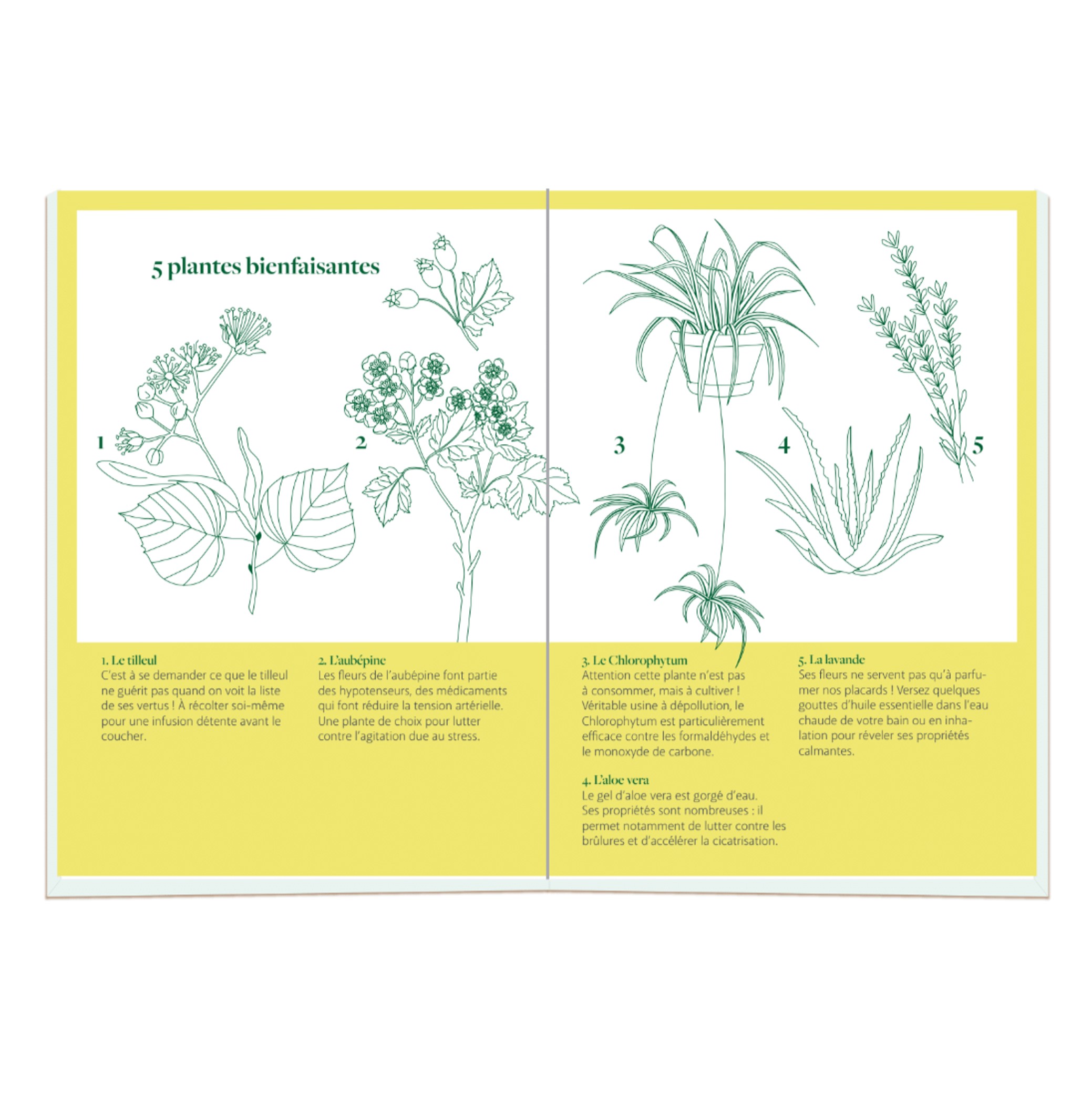 Carnet de développement personnel Made in France - Nirvana - 9