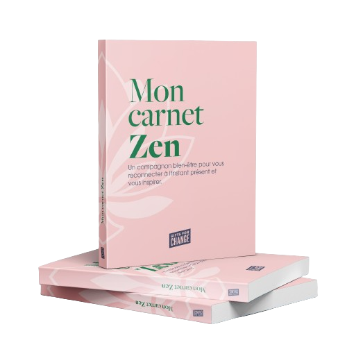 Carnet de développement personnel Made in France - Nirvana - 10