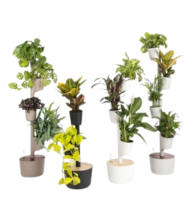 Jardinière de bureau modulable Made in Europe