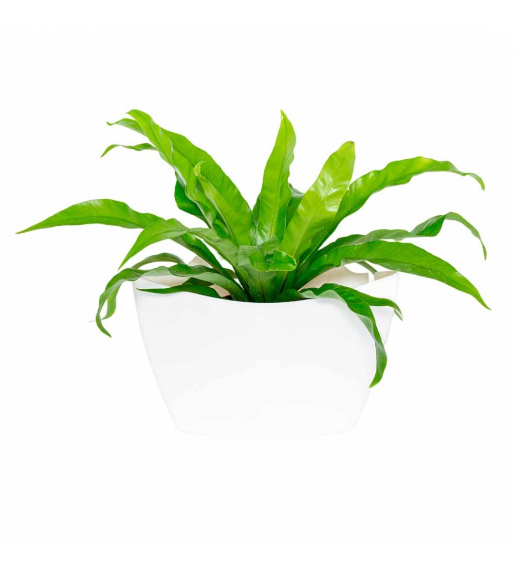 Pot mural Made in Europe - 5