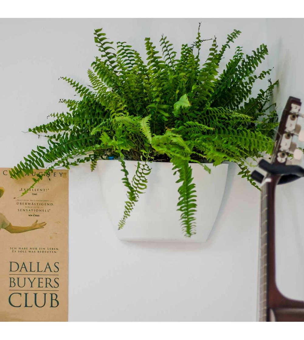 Pot mural Made in Europe - 7