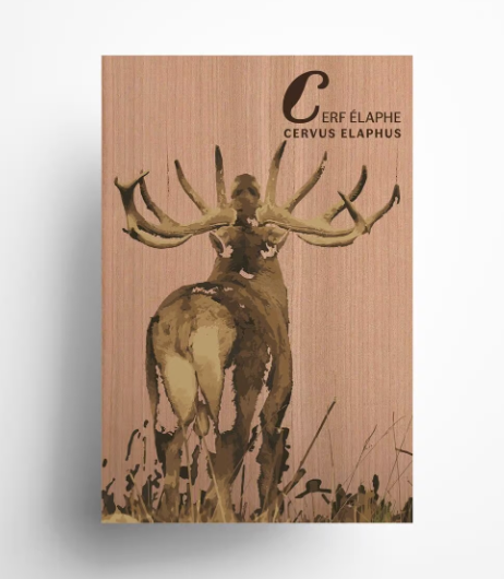 Carte postale en bois 10 x 15 cm Made in France -