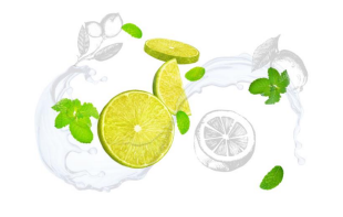 Brumisateur anti-moustique Made in France  -