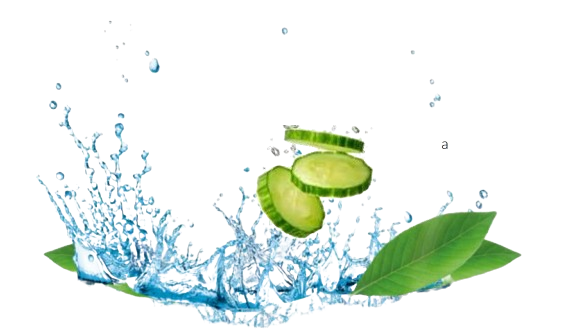 Brumisateur rafraichissant visage Made in France - 3