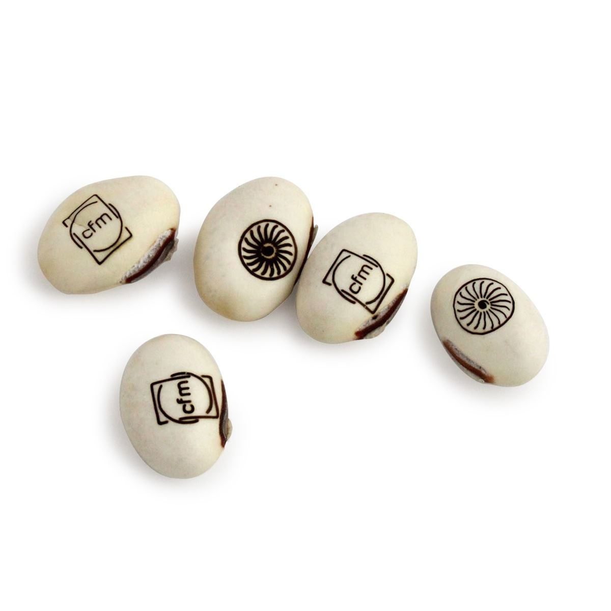 Graine de haricot blanc gravée