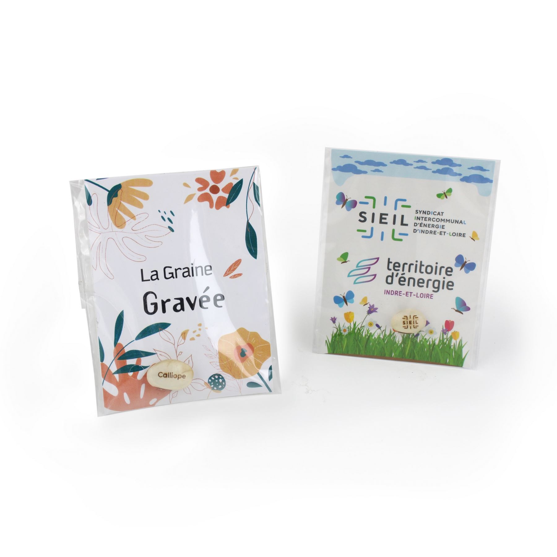 Graine de haricot blanc gravée -