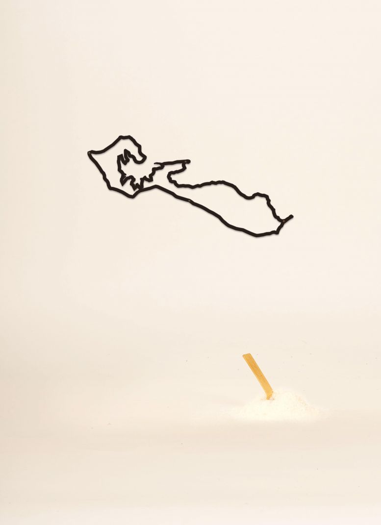 Décoration murale The line - Island -