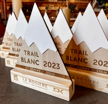 Trophée sur mesure en bois bi-matière Made in France -