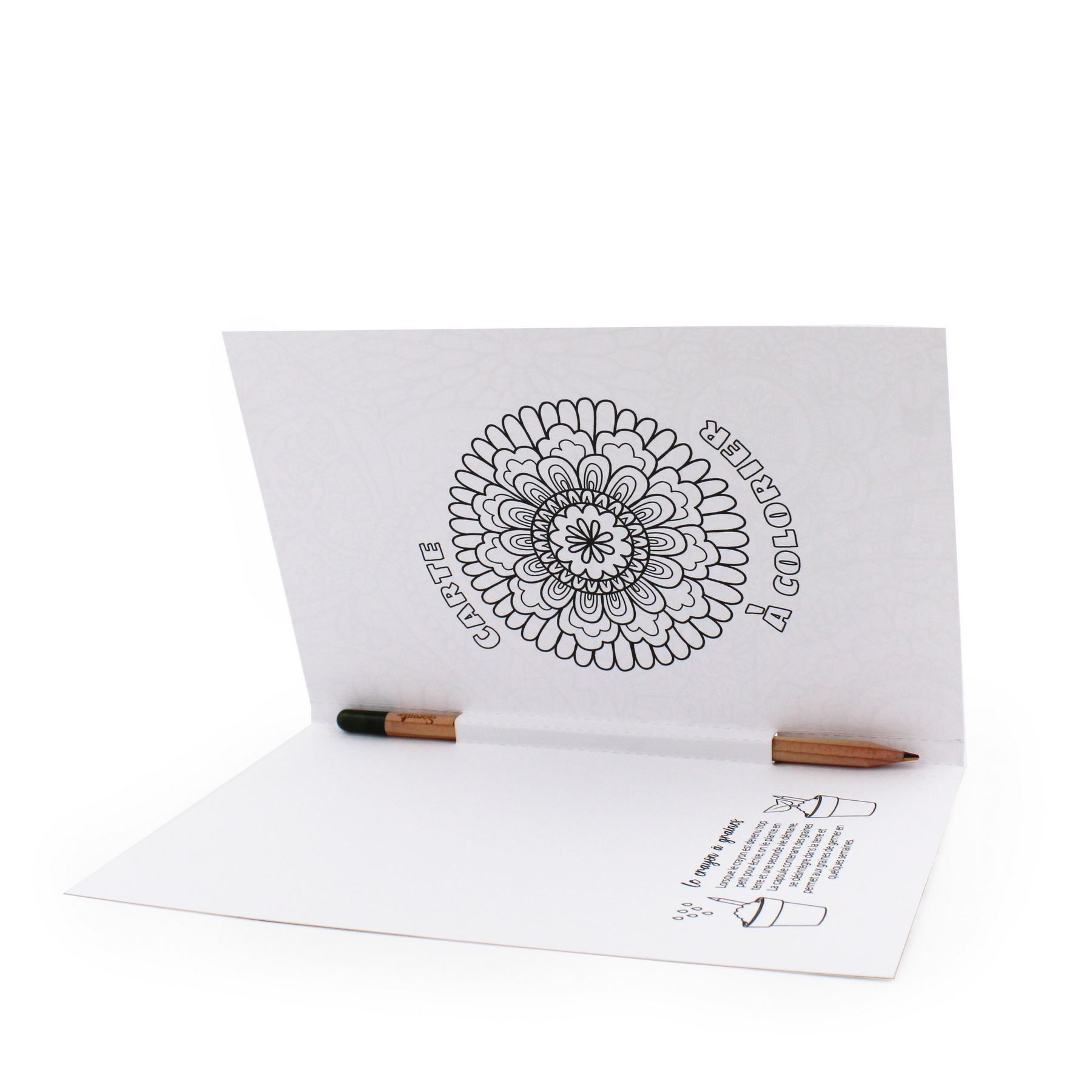 Crayon à graines mine multicolore carte à colorier -