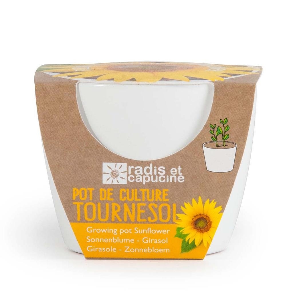 Kit de plantation tournesol bio céramique blanc