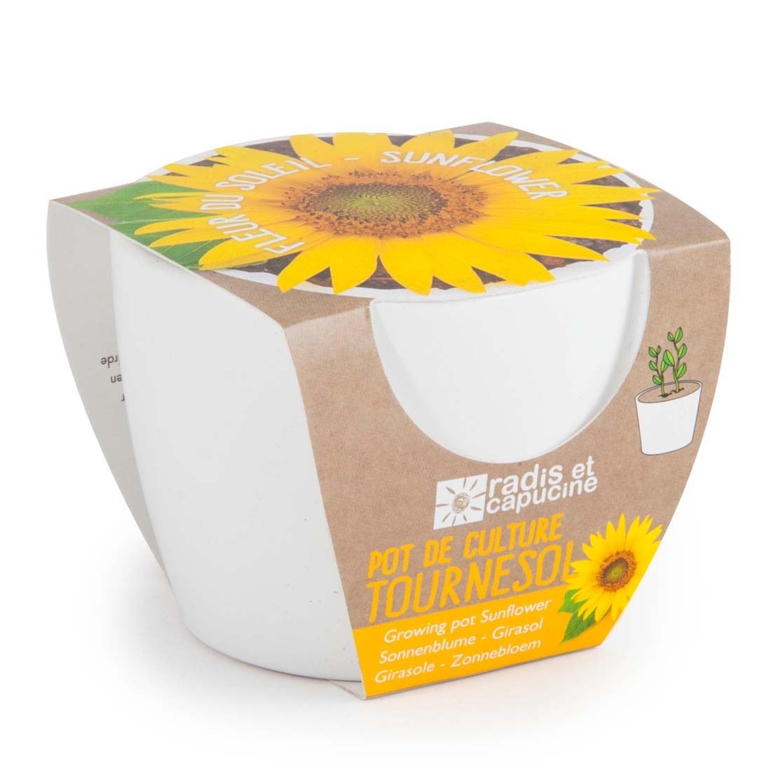 Kit de plantation tournesol bio céramique blanc -