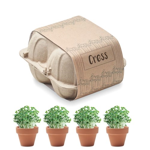 Lot de 4 pots en terre cuite avec graines - Cress