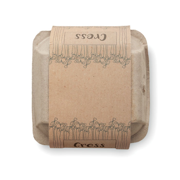 Lot de 4 pots en terre cuite avec graines - Cress -