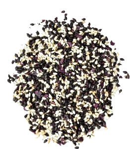 FuriFuri aux algues, alternative au sel fabriquée en France  - 2