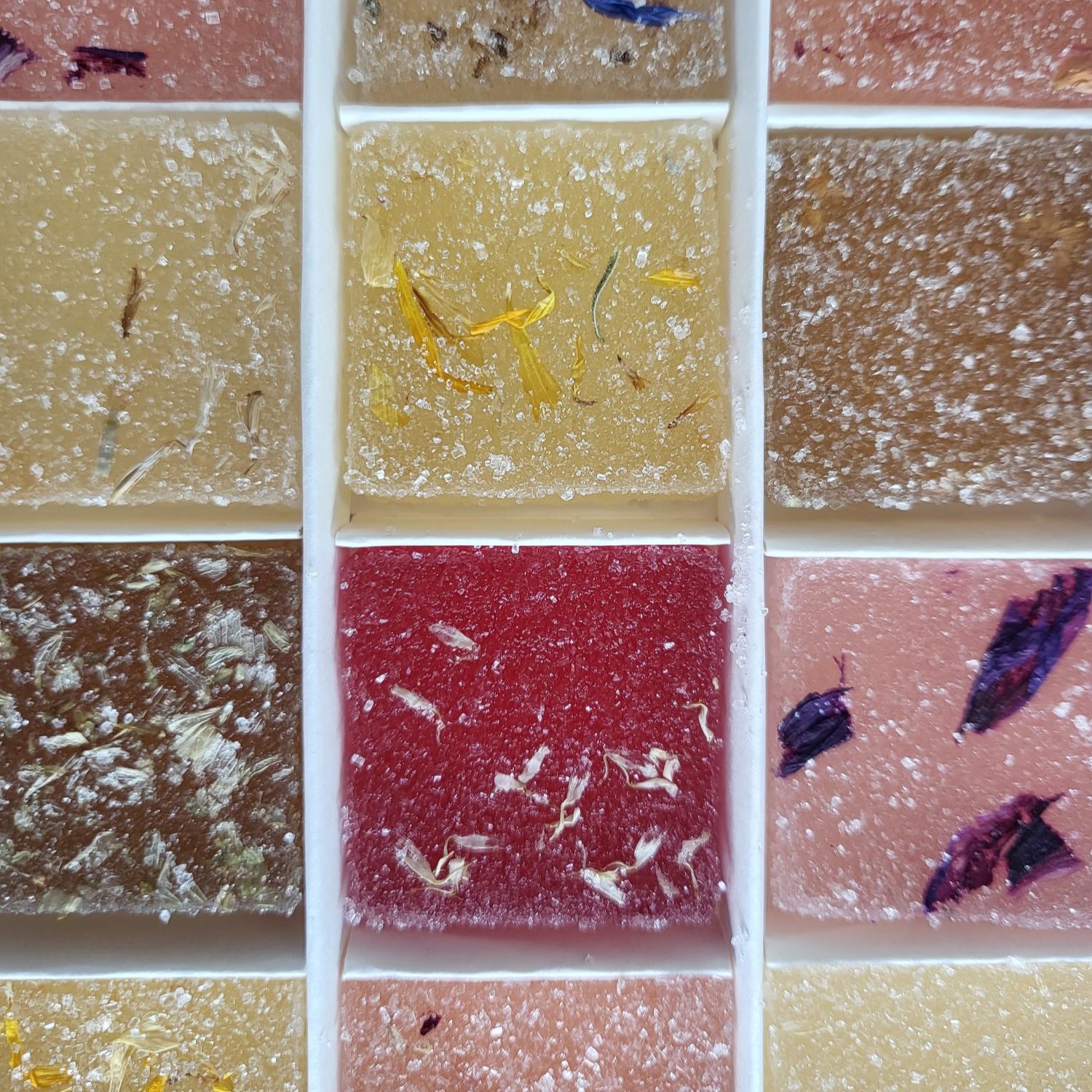 Coffret assortiment de 15 pâtes de fleurs bio Made in France - 3