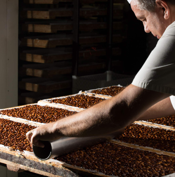 Tendre nougat de Provence amandes et miel  -