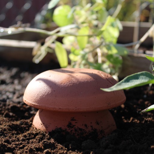 Olla en terre cuite artisanale pour irriguer les plantes -