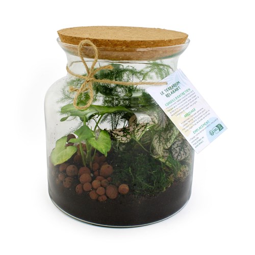 Terrarium Relaxant