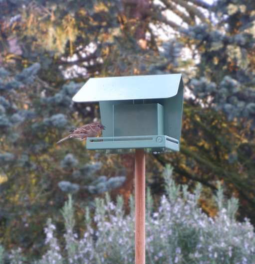 Mangeoire pour oiseaux en métal - Zozio - 4