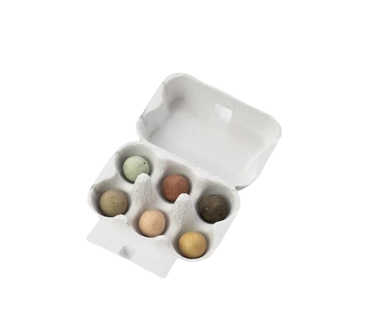 Boite à oeufs bombes à fleurs