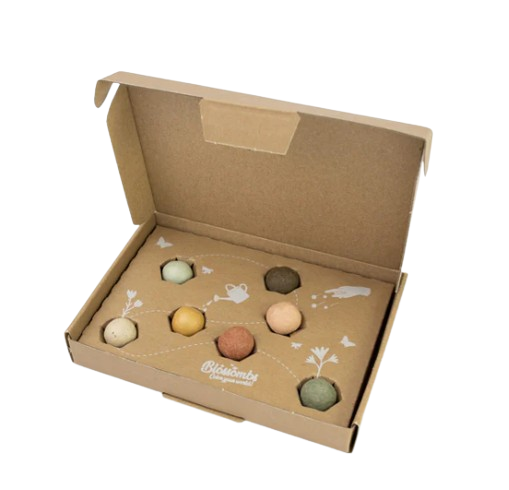 Coffret à bombes à fleurs sauvages