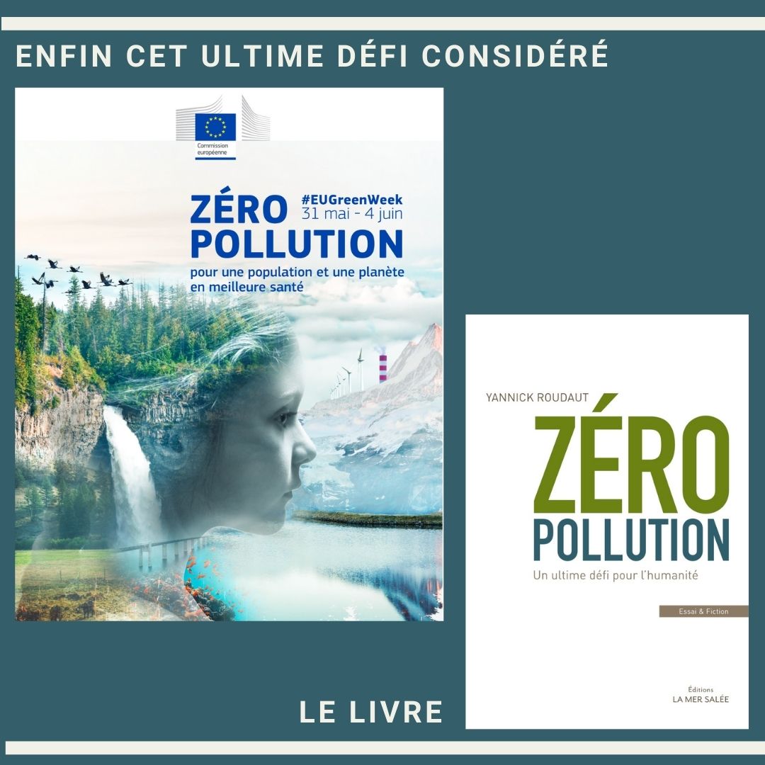 Conférence : "La relowcalisation, quels sont les modèles économiques résilien" - Yannick Roudaut 