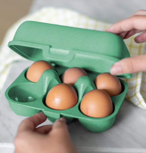 Boîte à œufs pour 6 - Eggs to go mini - 5