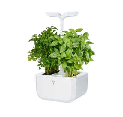 Potager connecté Exky® autonome - 2