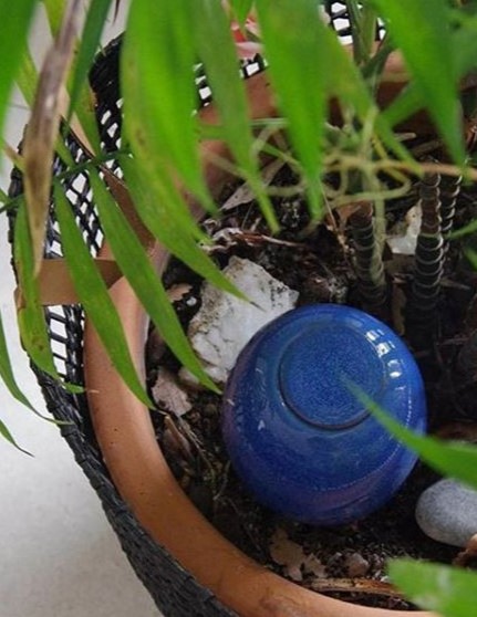 Oyas à planter émaillée et décorée - 8