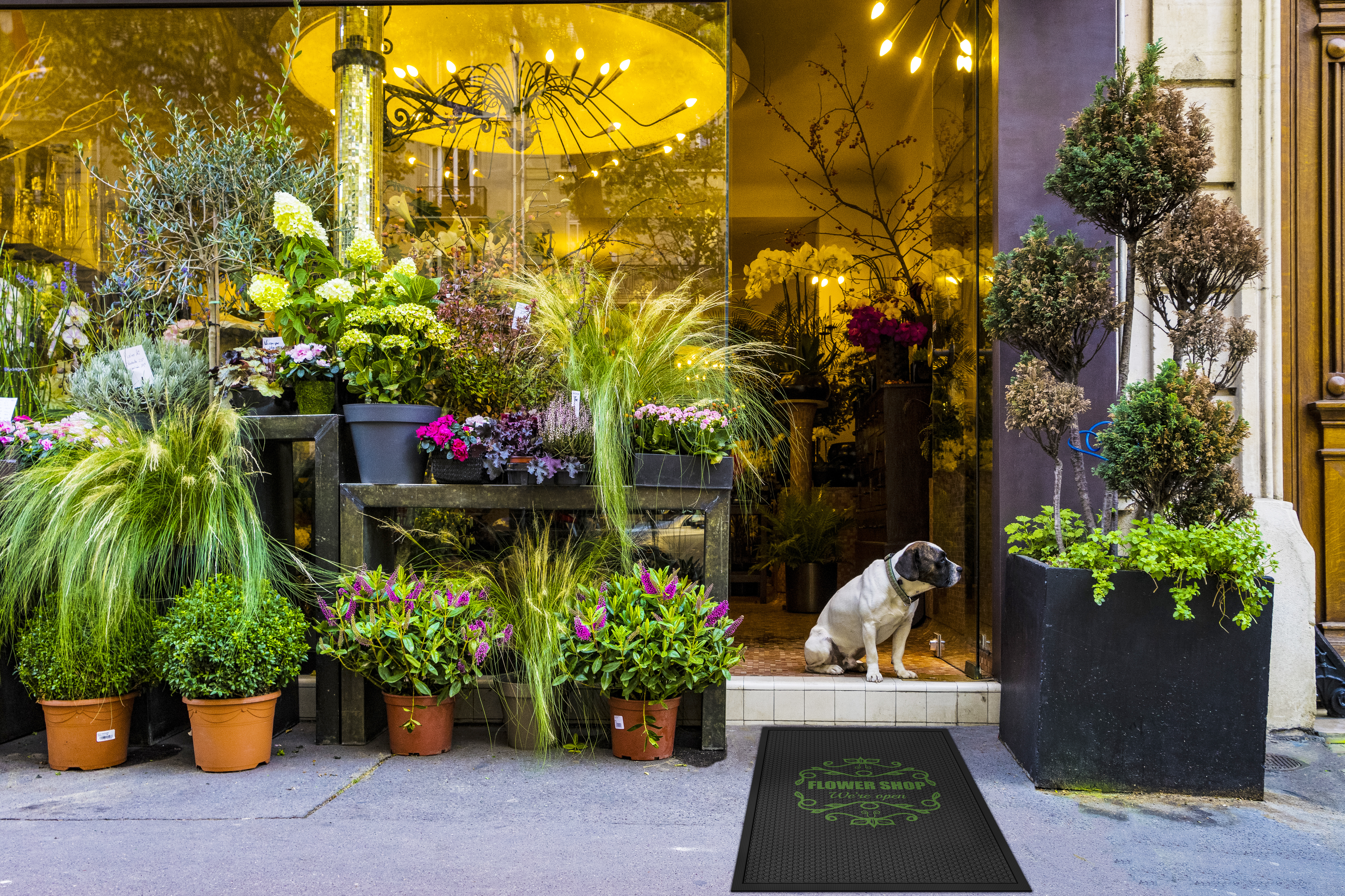 Tapis d'extérieur et d'intérieur à crampon - 3