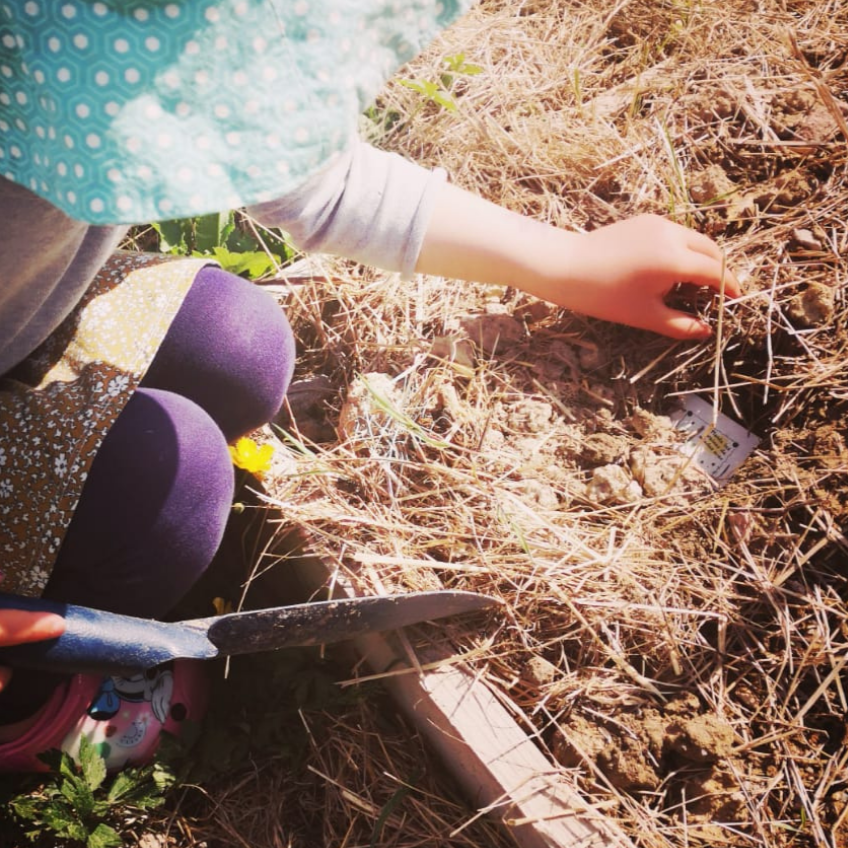 Livre "Cibou découvre les secrets du potager" - tome 1 - 3