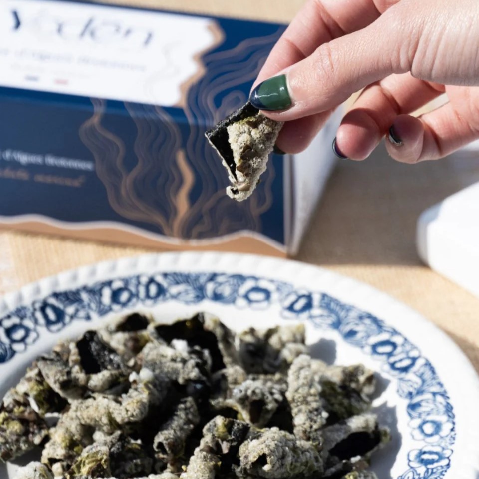 Chips d'algues bretonne - 2