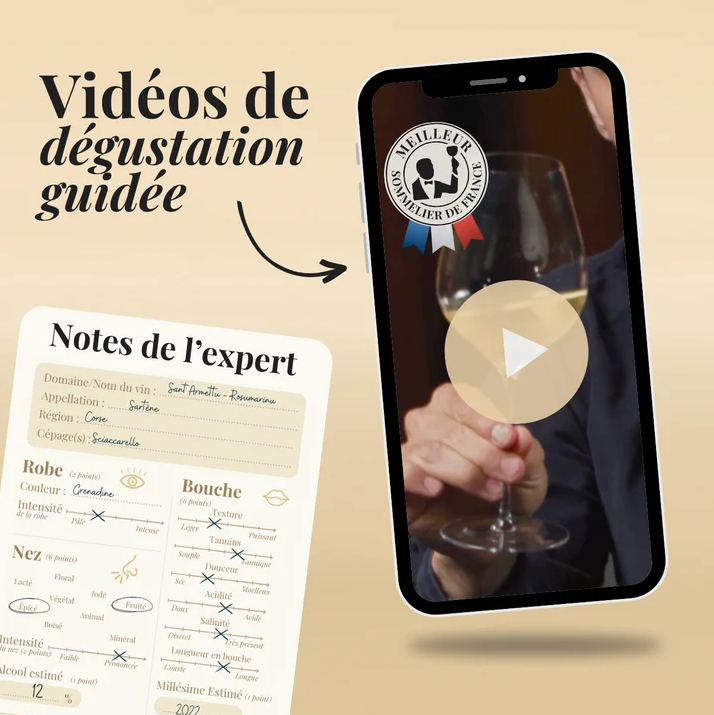 Coffret découverte Grands Rouges de France, sélectionnés par un Meilleur Sommelier de France - 7