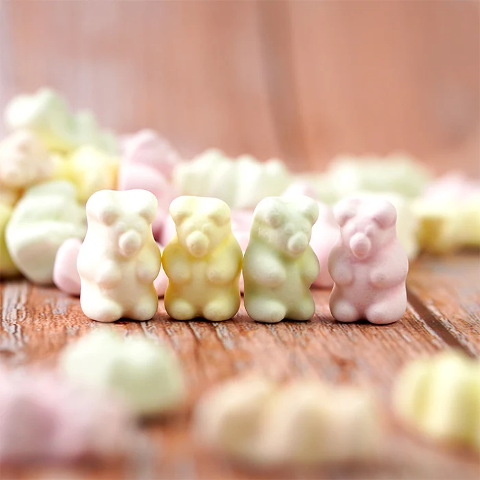 Assortiment de 500g de confiseries françaises en valisette - 3