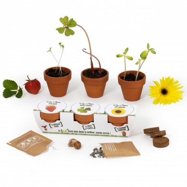 Kit de plantation trio graine bio, Made in France