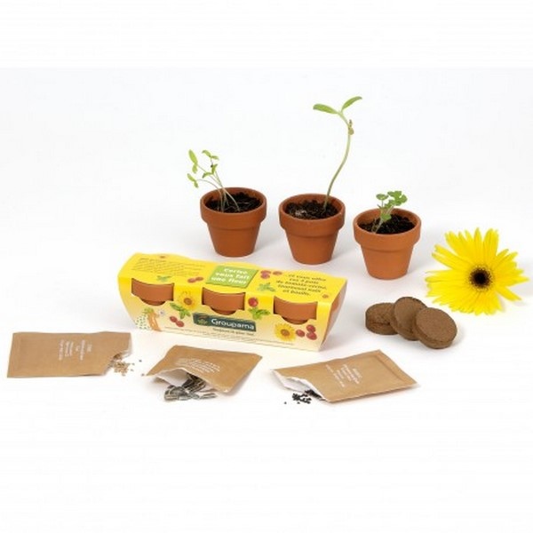 Kit de plantation trio graine bio, Made in France -