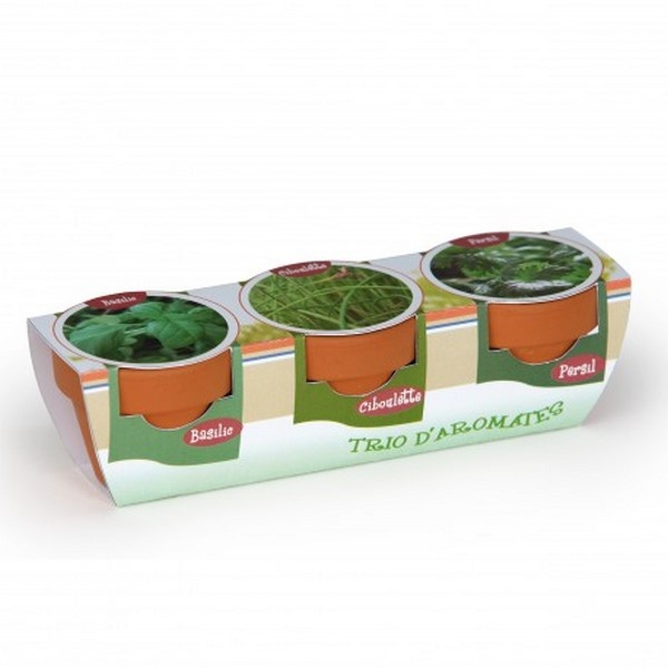Kit de plantation trio graine bio, Made in France -