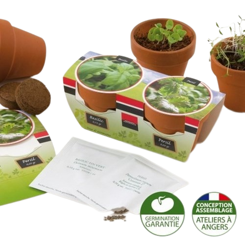 Kit de plantation duo graines bio, Made in France - 3