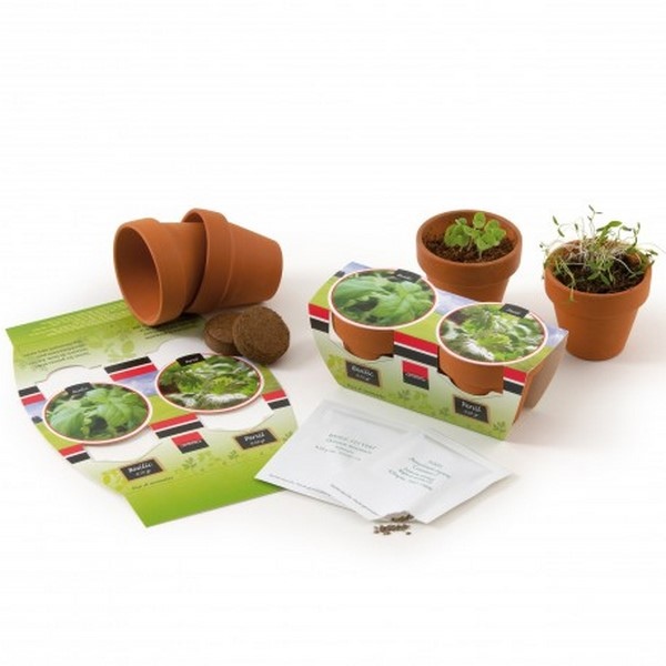 Kit de plantation duo graines bio, Made in France - 2
