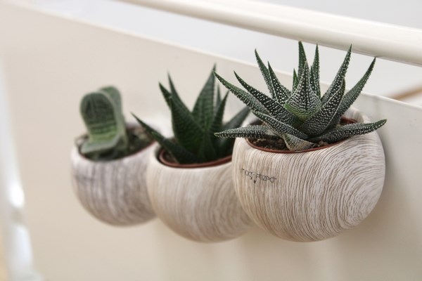 Plante en pot magnétique aimanté aspect bois -