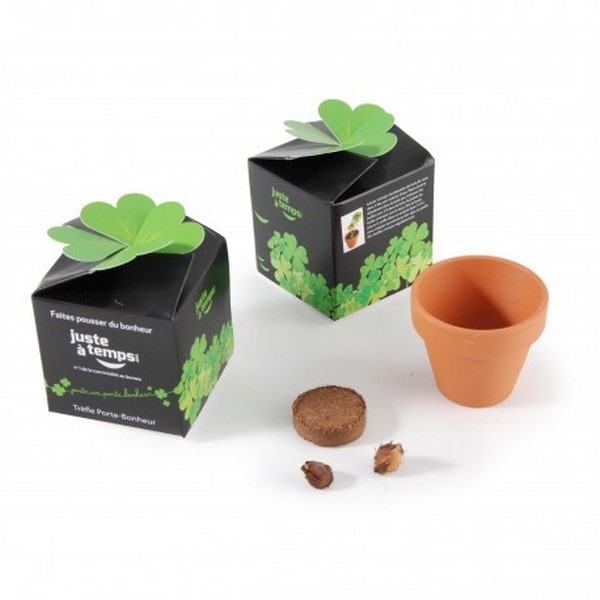 Cube Kit de plantation graine bio, Made in France - 1